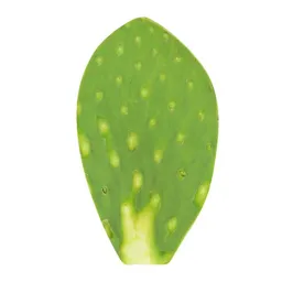 Nopal limpio